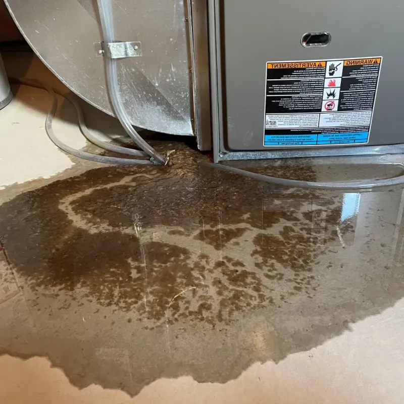 Pipe Burst and Leak Restoration in Skagway Municipality, AK